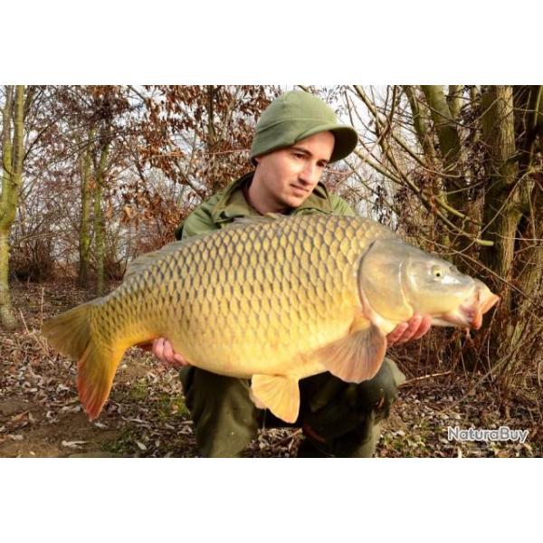 Etangs de l'Abbaye - Abbey Lake : P�che de la Carpe sur l'Etang d'Attila