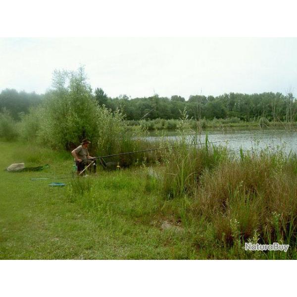 Etangs de l'Abbaye - Abbey Lake : P�che de la Carpe sur l'Etang du Sanglier (carpodrome)