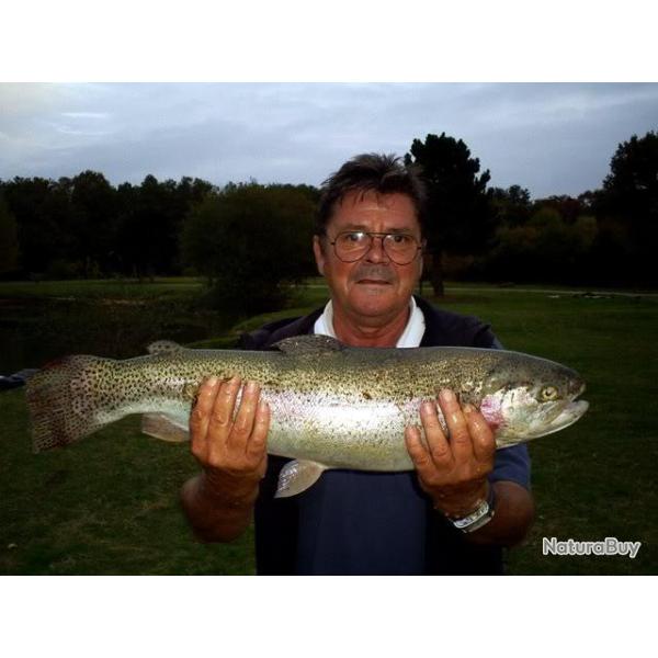 P�che de la truite aux Etangs de Romainville