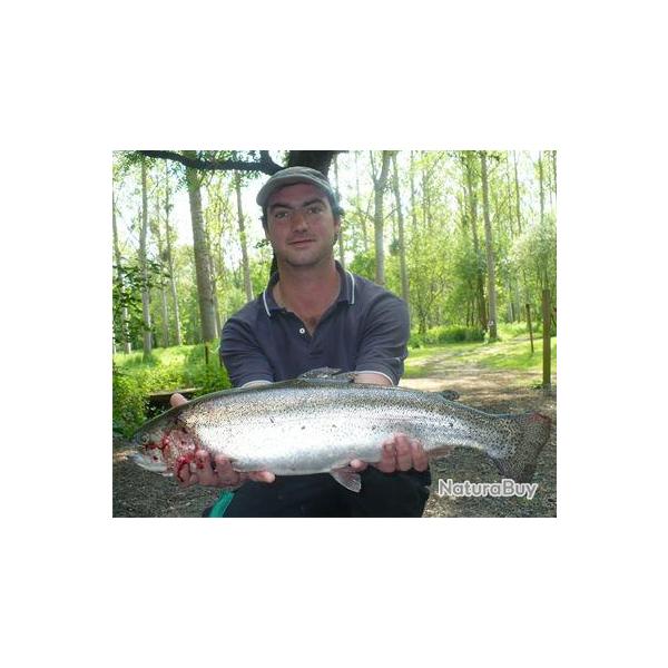 P�che  aux Etangs de la Prairie de Fontaine-Liveau