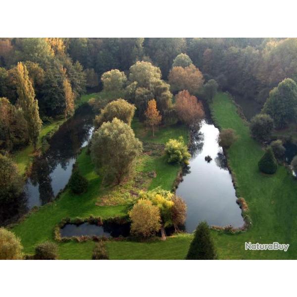 P�che de la truite � la Mouche aux Sources de l'Eclimont