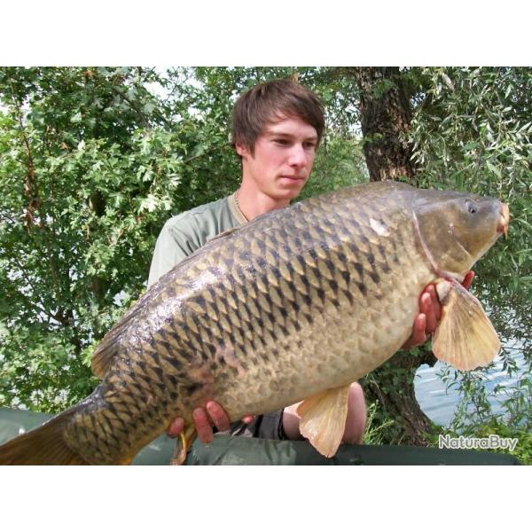 P�che de la Carpe et de l'Esturgeon aux Etangs Saint Jules