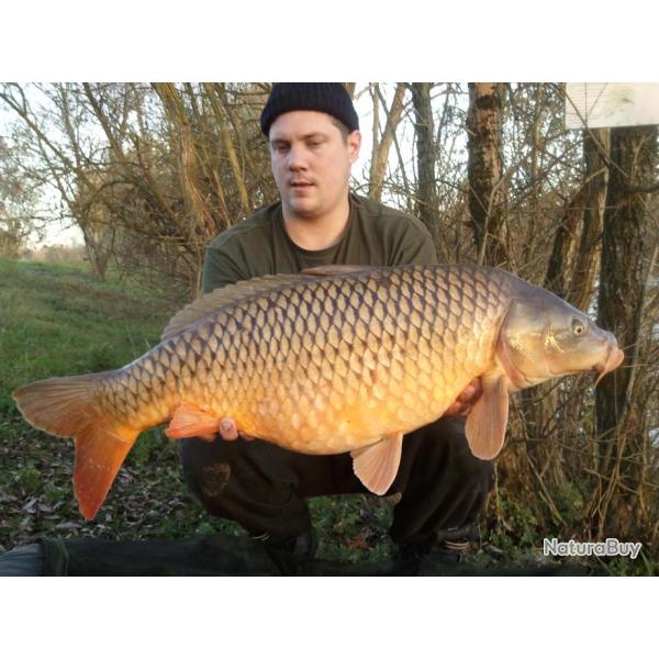 P�che de la Carpe et de l'Esturgeon au Domaine de la Vieille Garenne