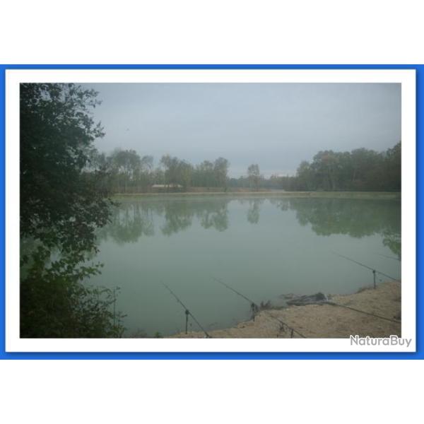 P�che de la Carpe � l'Etang du Grand Ch�ne