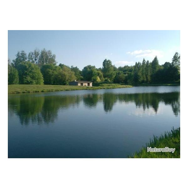 La p�che � la carpe et aux gardons au Paraids des P�cheurs