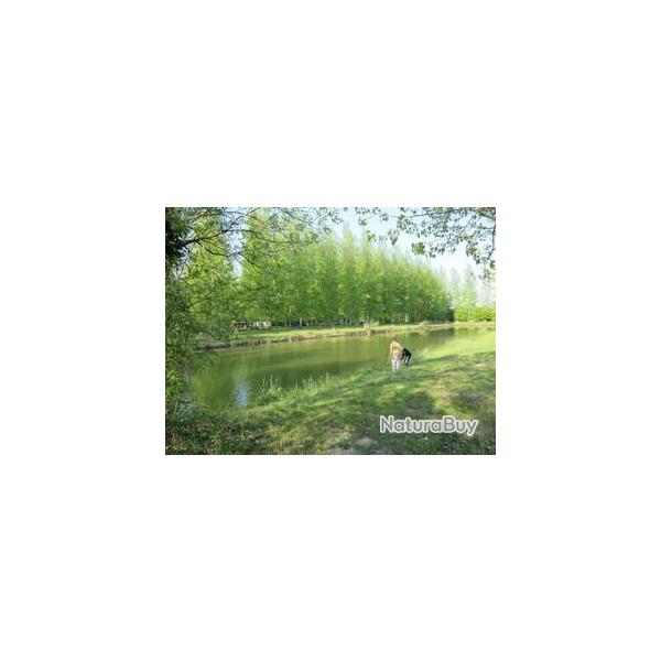 P�che aux Etangs de la Truite Saint Matin