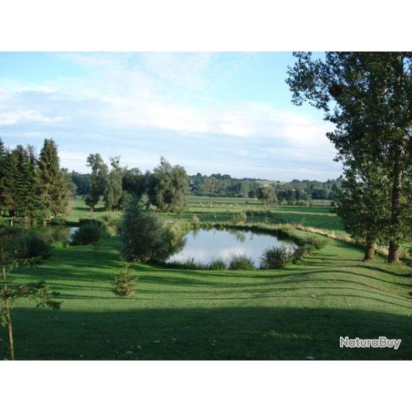 P�che de la carpe et du poisson blanc aux Etangs des Sources