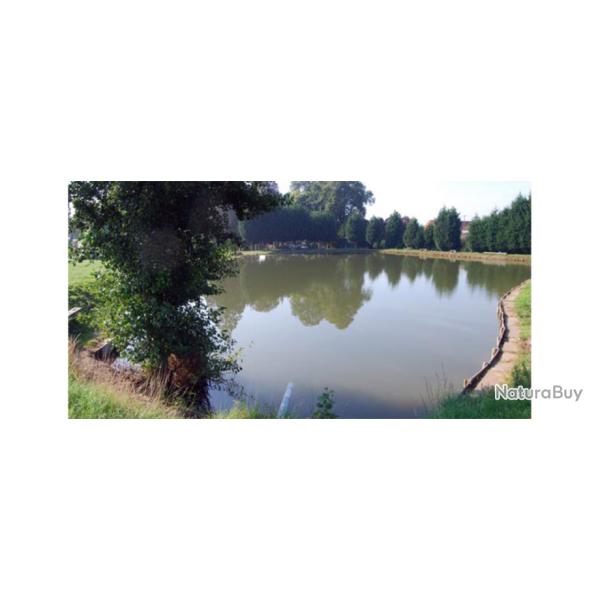 P�che de la truite � l'Etang du Chateau