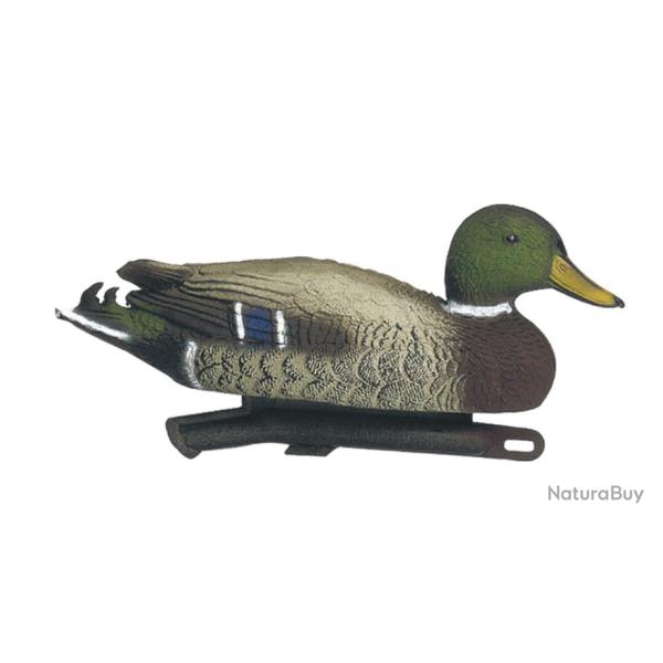 Lot de 5 Blettes de Canard Colvert Male