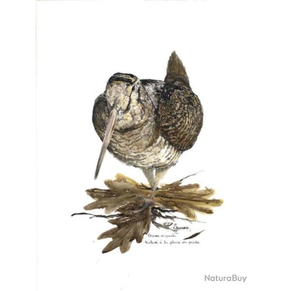 REPRODUCTION Ide "Cadeau" - Bcasse debout -