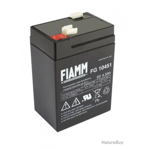 Batterie rechargeable Blanko MS4-6 6 volts 