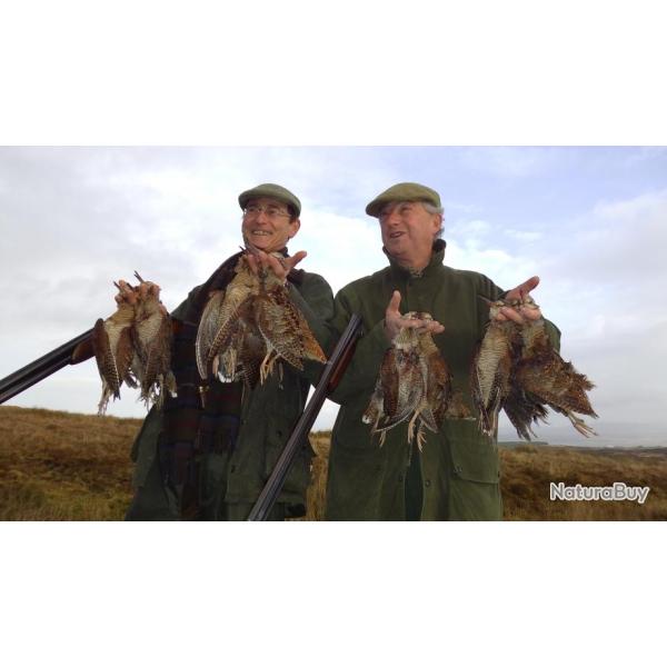 Sjour de Chasse aux Bcasses en Ecosse Les Hbrides 2025-2026