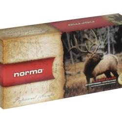 Balles De Chasse Norma Calibre 300Win Pointe Plastique