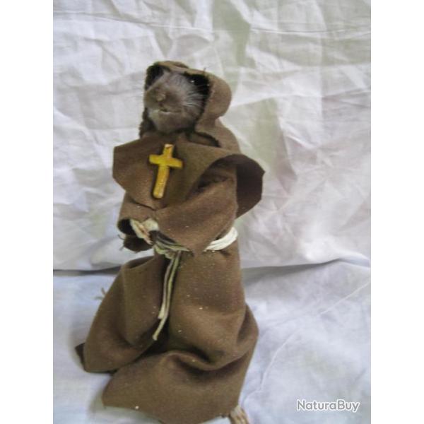 taxidermie rat moine  taxidermy rat curiosit