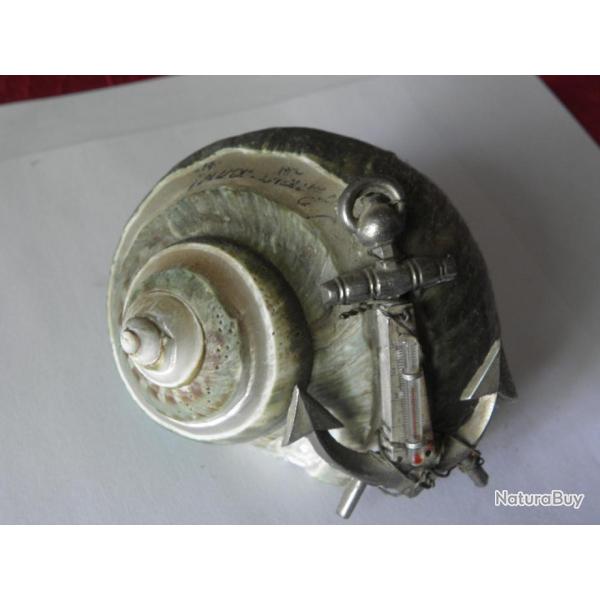 antique kitsch coquillage avec l'ancre et thermom�tre