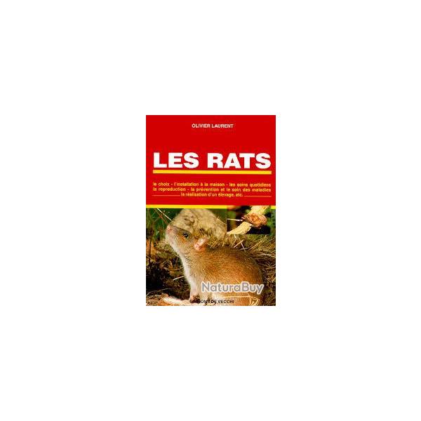 Les rats . �levage. olivier laurent,  choix ,  installation � la maison