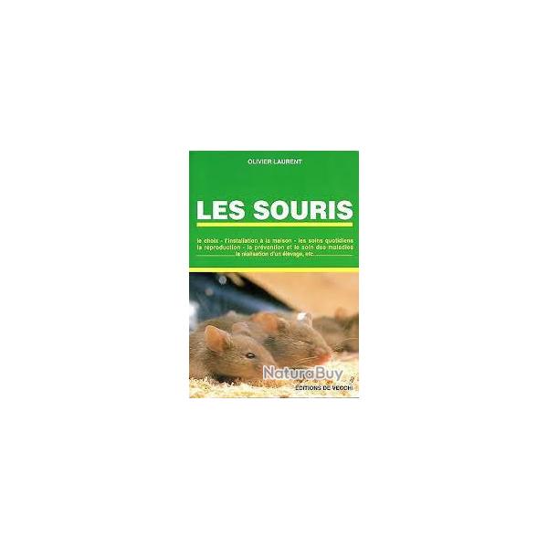 Les souris  . �levage. olivier laurent,  choix ,  installation � la maison