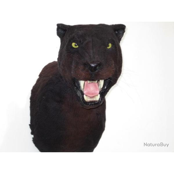 troph�e factice r�plique taxidermie panth�re noire