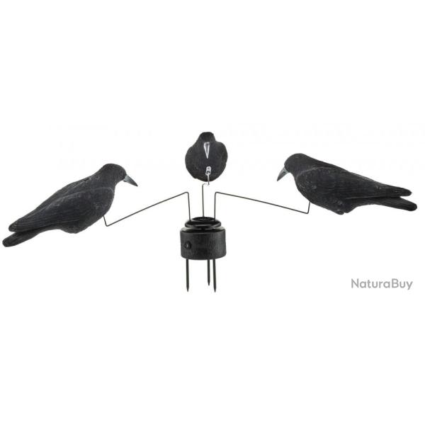 Mange  corbeaux avec trois formes floques