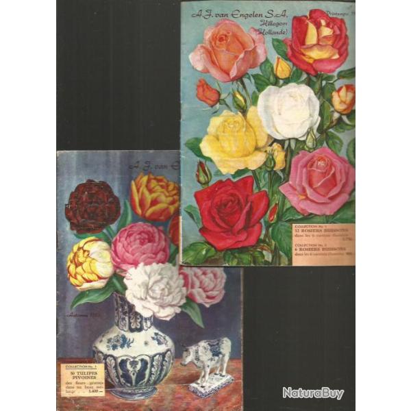 Catalogues hollandais de fleurs 1955 , rare.
