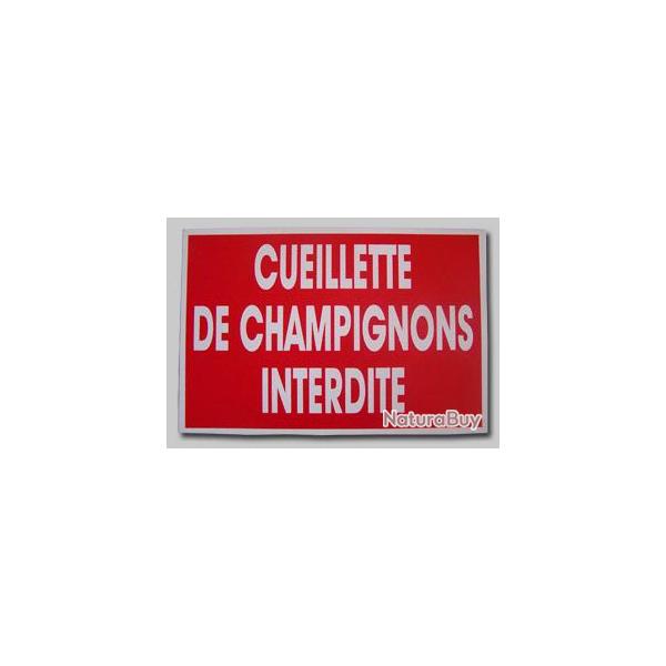 CUEILLETTE de CHAMPIGNONS INTERDITE