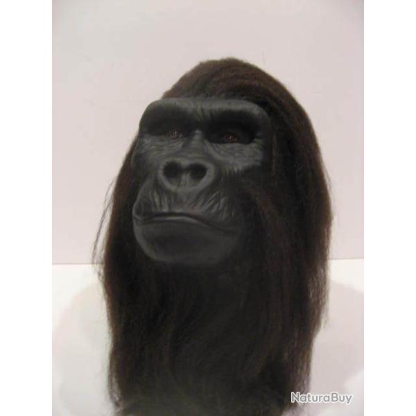 taxidermie naturalis� empaill� chasse  r�plique t�te gorille � poser