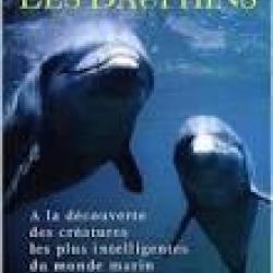 parmi les dauphins. &agrave; la d&eacute;couverte des cr&eacute;atures les plus intelligentes du monde marin + KDO