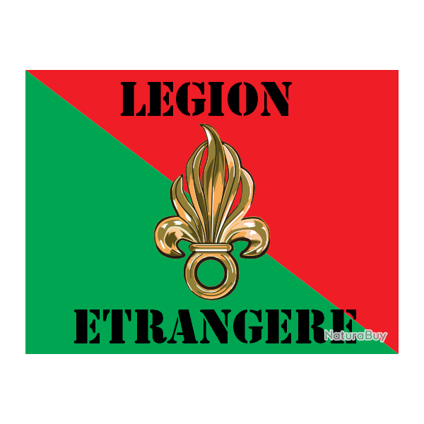 Autocollant sticker 6,5x8,5 cms LEGION ETRANGERE ( REP REI REG REC RMVE CALVI PARA )