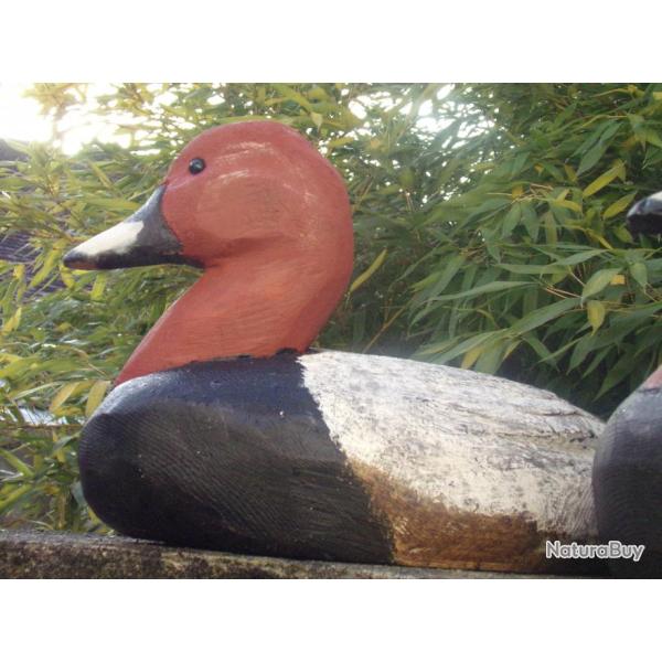 Appelant de canard en bois dit magnum