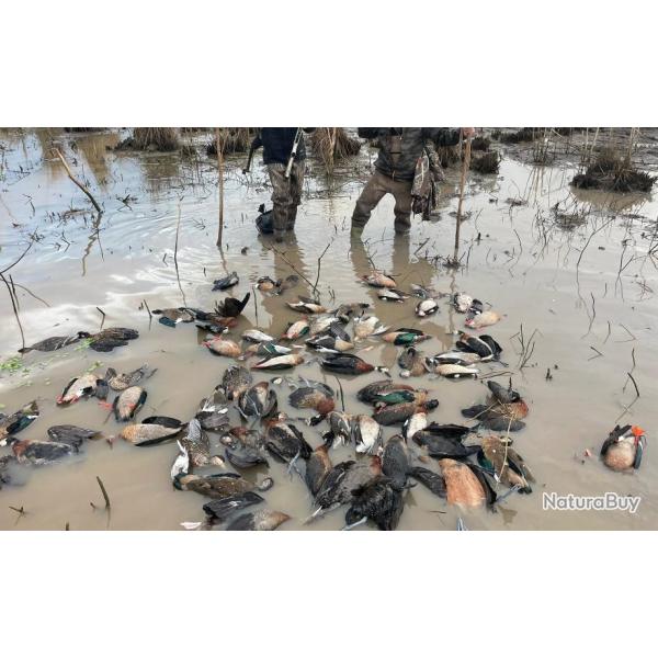 Chasse sur San Javier ou Fortin Olmos ou en Province de Buenos Aires