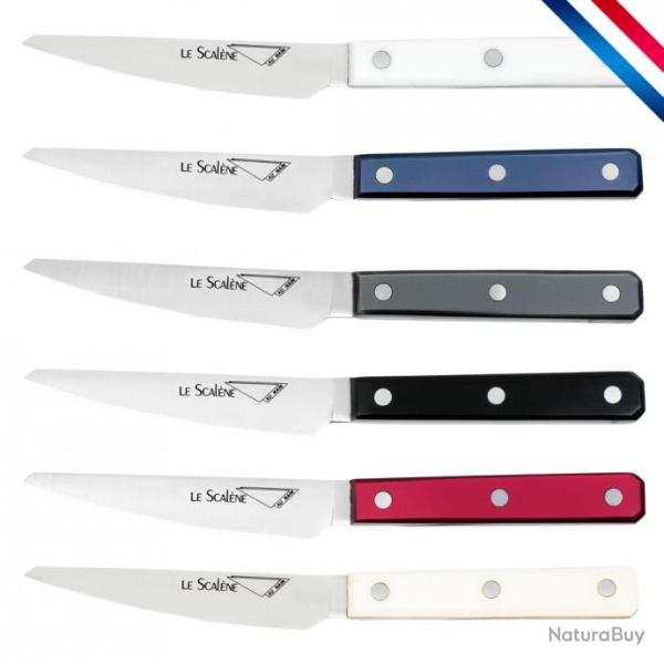 Coffret couteaux 6 steaks Scal�ne panach� de couleurs