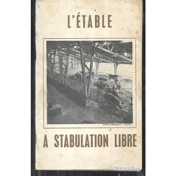 l'�table � stabulation libre , vache laiti�re