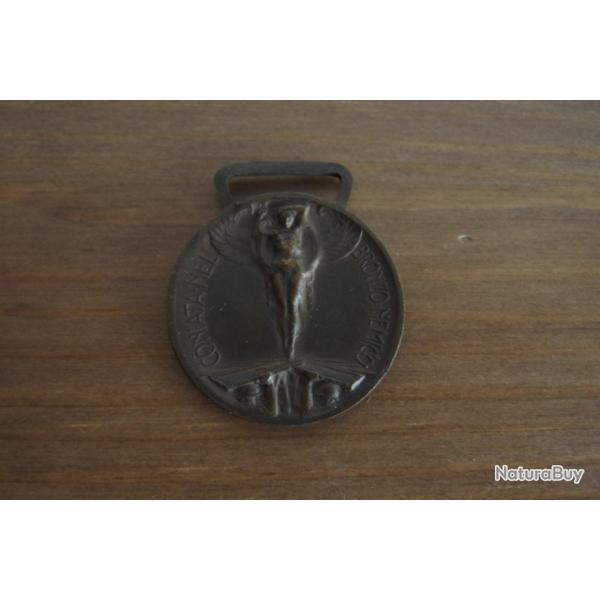 Mdaille de la Victoire Italie 1914-1918