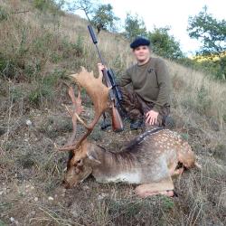 Chasse du Daim &agrave; l'approche dans les Pyr&eacute;n&eacute;es