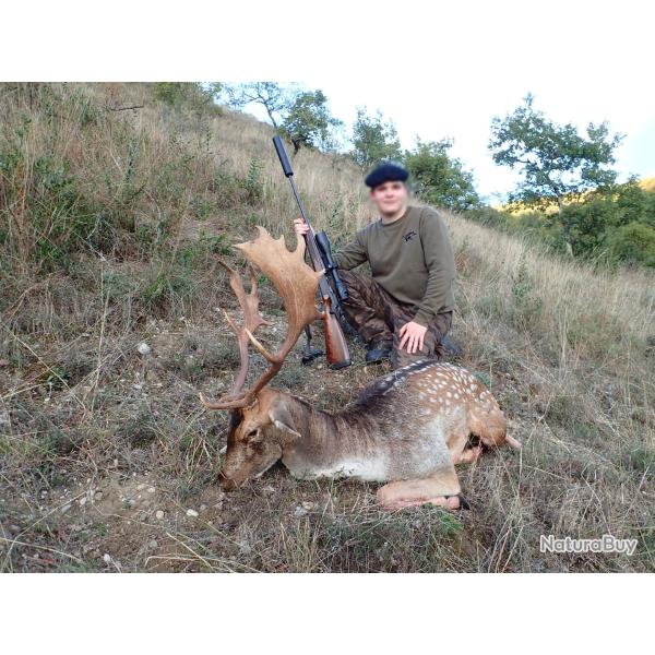 Chasse du Daim � l'approche dans les Pyr�n�es