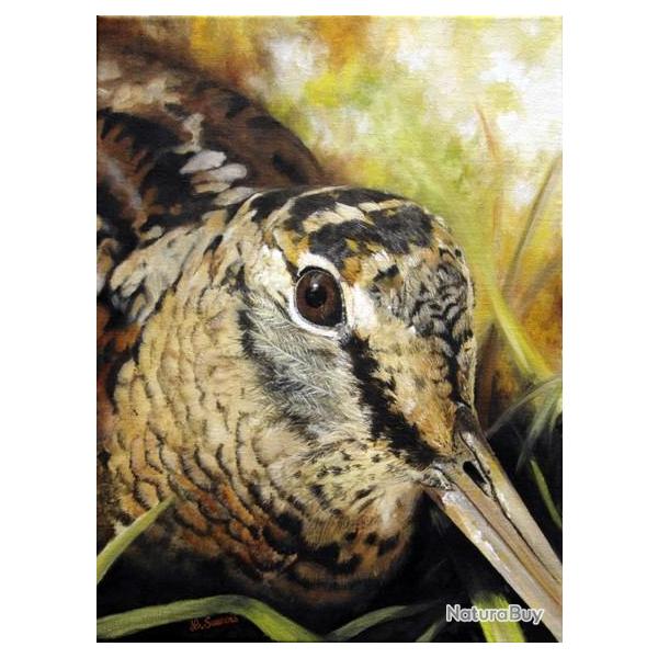 TIRAGE d'ART sur TOILE - Portrait de b�casse