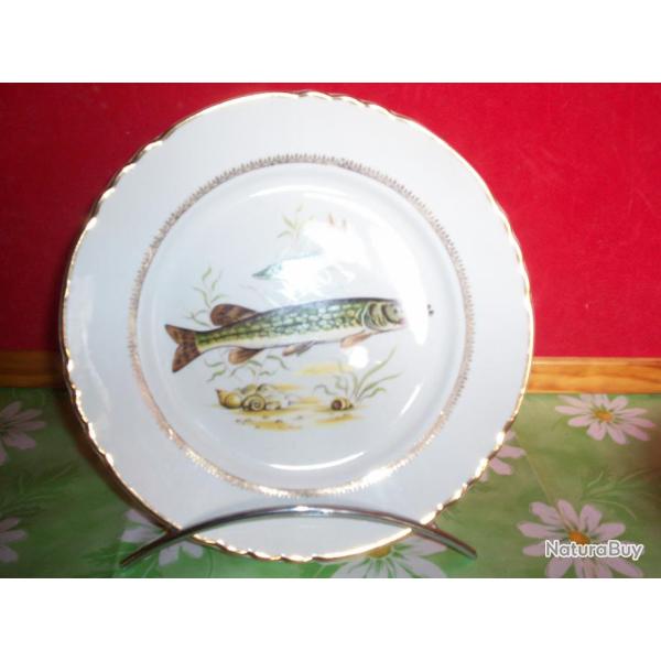 assiette d�corative poisson d'eau douce , brochet
