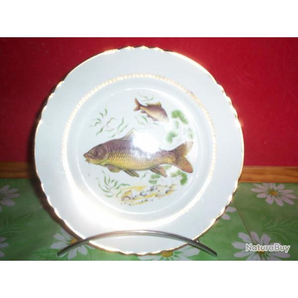 assiette d�corative poisson d'eau douce , carpe