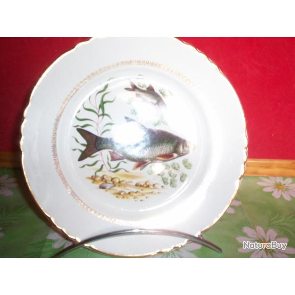 assiette d�corative poisson d'eau douce , gardon