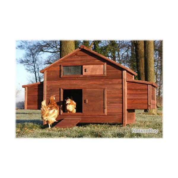 Poulailler GEANT 6 poules coq pintade abri caille clapier cielterre-commmerce