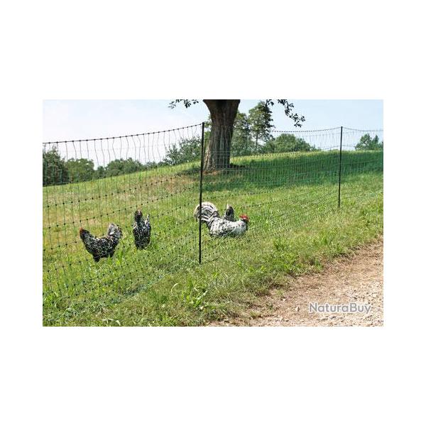 Filet cloture poule volaille lapin coq basse cour pintade 25 METRES 13CL