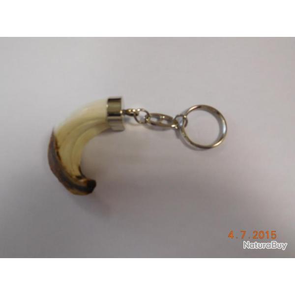 Porte -cls avec vritable grs de sanglier petit modle  ide cadeaux