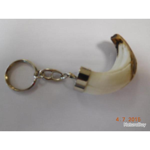 Porte -cls avec vritable grs de sanglier grand modle  ide cadeaux