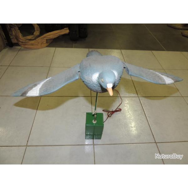 PIGEON battant des ailes