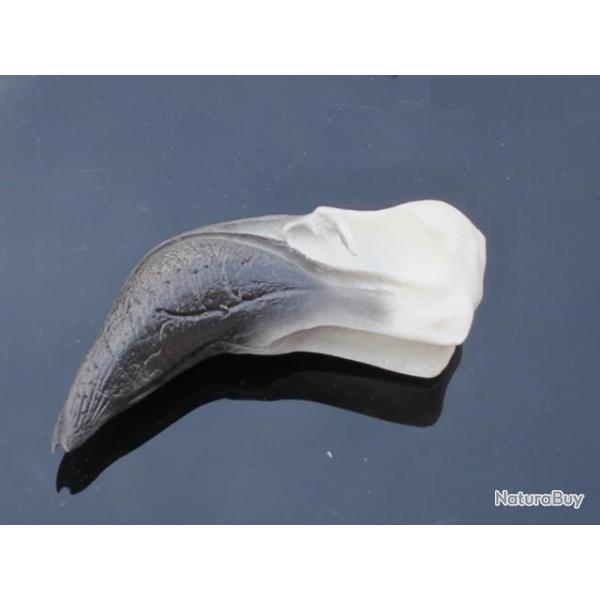 taxidermie trophe factice crne flamant rose