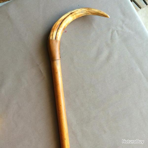 Belle canne de marche