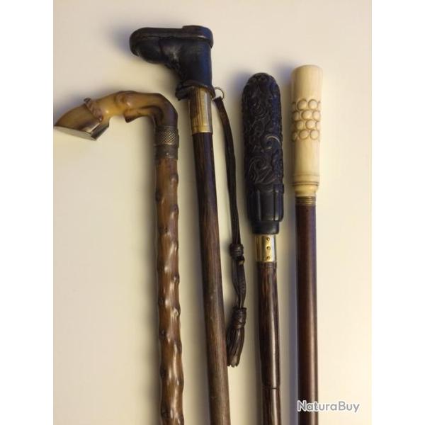 Cannes de ma collection