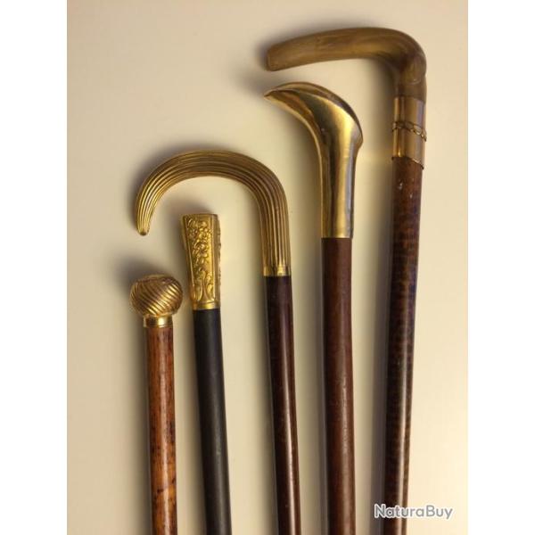 Suite de  Cannes de collection 5