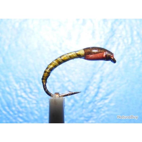 3 nymphes chiro1 coregone, lavaret