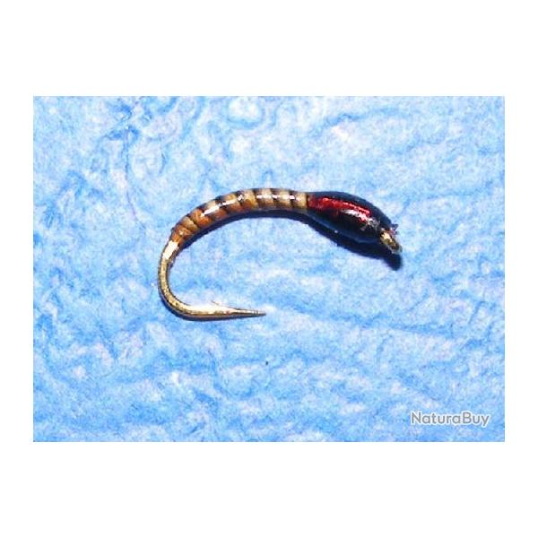 3 nymphes chiro2 coregone, lavaret